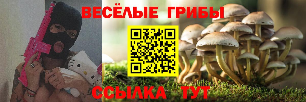 Сургут  наркошоп  Вход с VPN  Псилоцибиновые грибы Psilocybe 